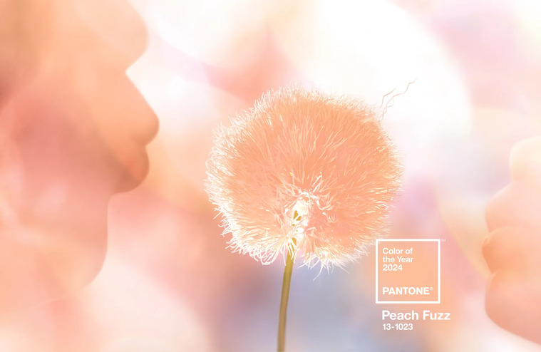 couleur Pantone 2024 - Peach Fuzz