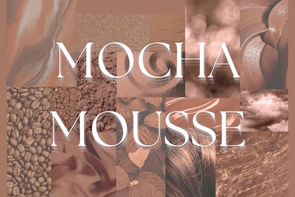 couleur pantone 2025 mocha mousse