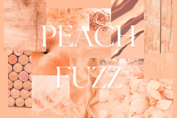 couleur pantone 2024 peach fuzz